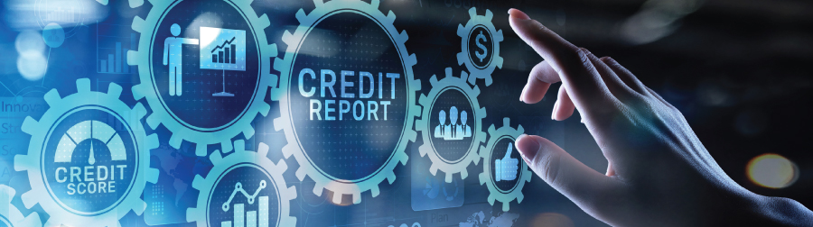 Credit Report / Score banner